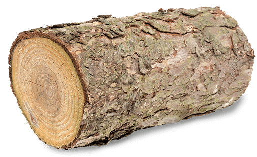 Wood Log PNG